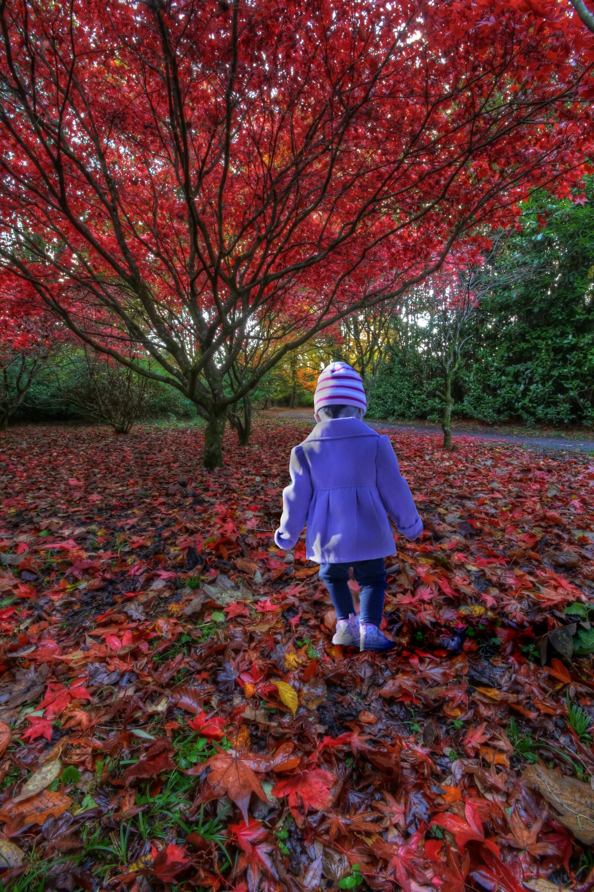 my grand-daughter in the woods