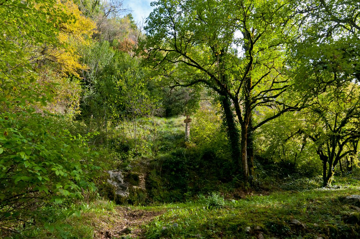 Autumn forest in the valley of Alzou, France