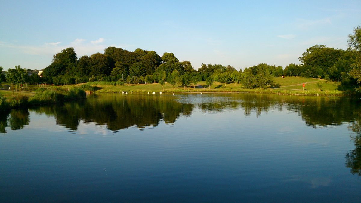 Local lake & park on a glorious sunny day.