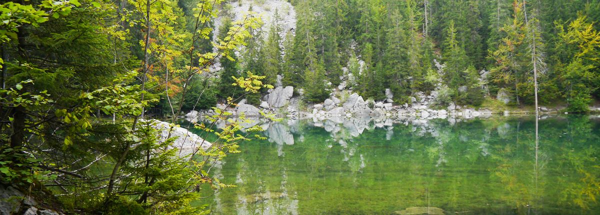 Lac Vert ( Chamonix - Mont Blanc)