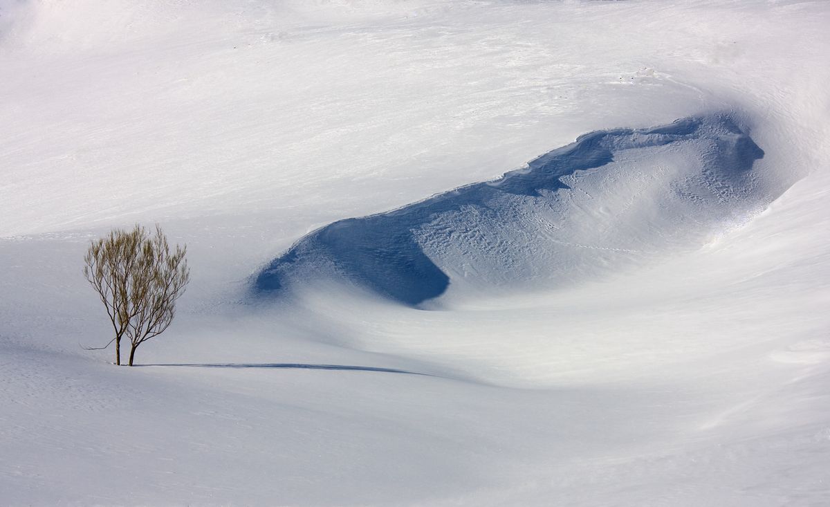 Imagen captada en la montaña de León durante un frío y duro invierno.