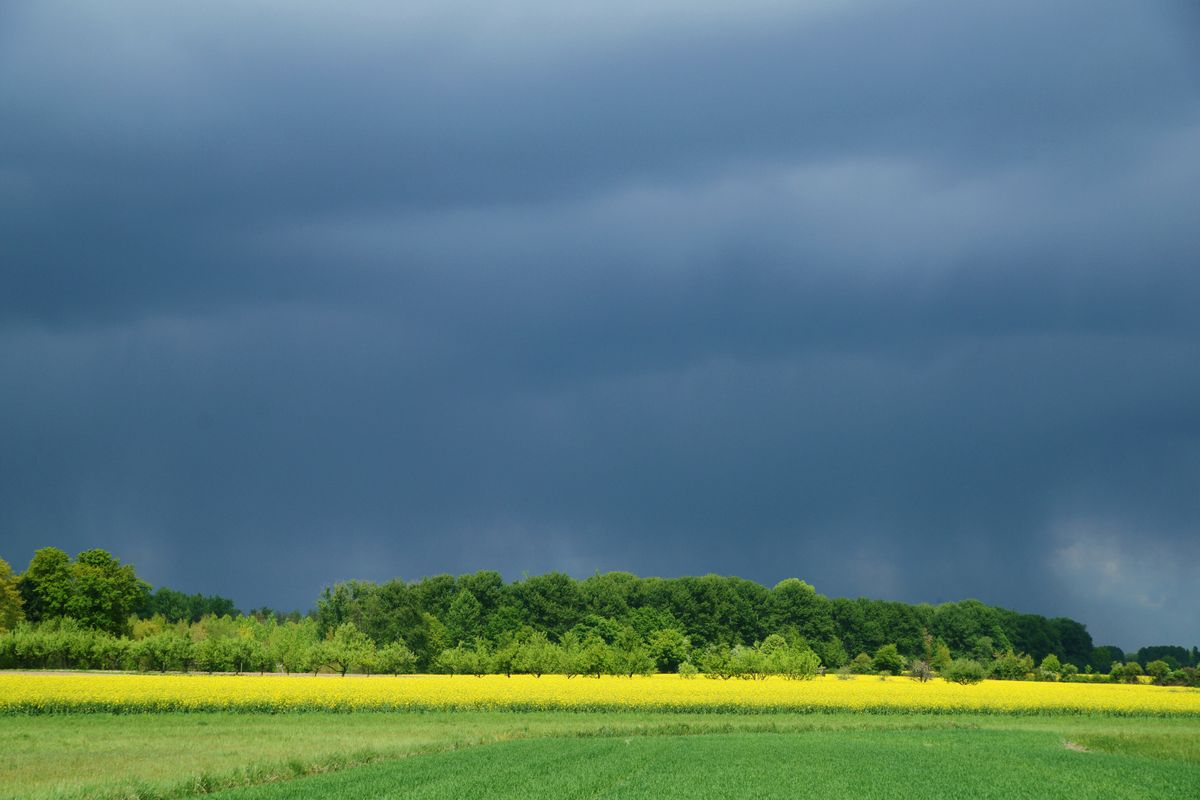 In der Nähe von Baden-Baden zogen in diesem Jahr am Ostersamstag tiefschwarze Regenwolken über das mit Raps bepflanzte Bauernland. Hier faszinierten mich die extremen Farbkontraste.