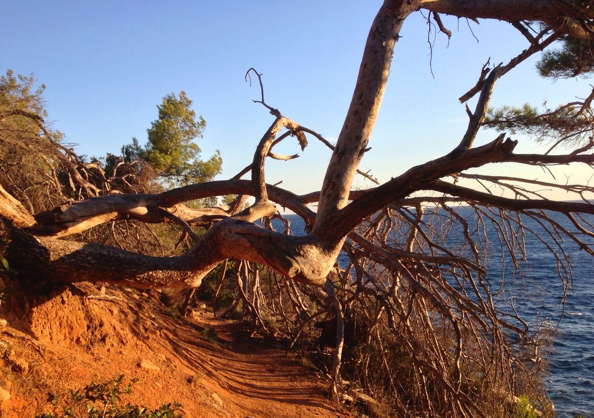 Sentier du littoral à saint Tropez