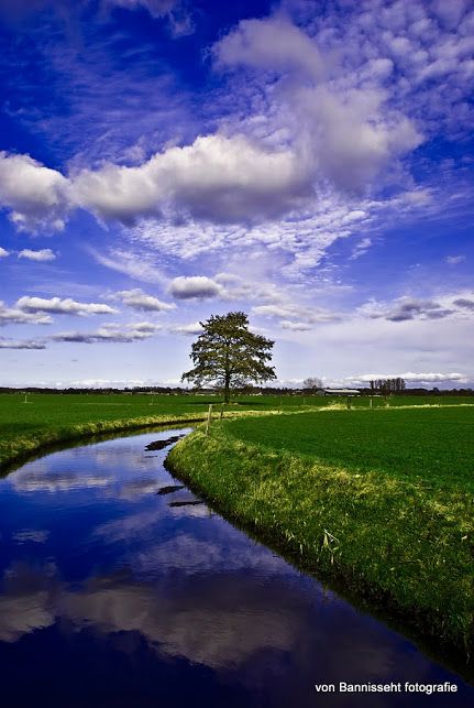 Stream through a meadow