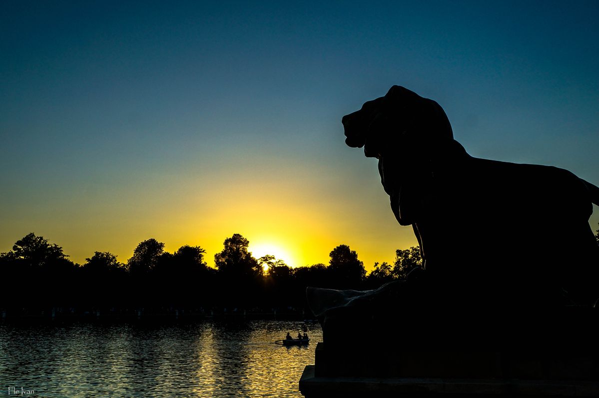 Figuras al Atardecer