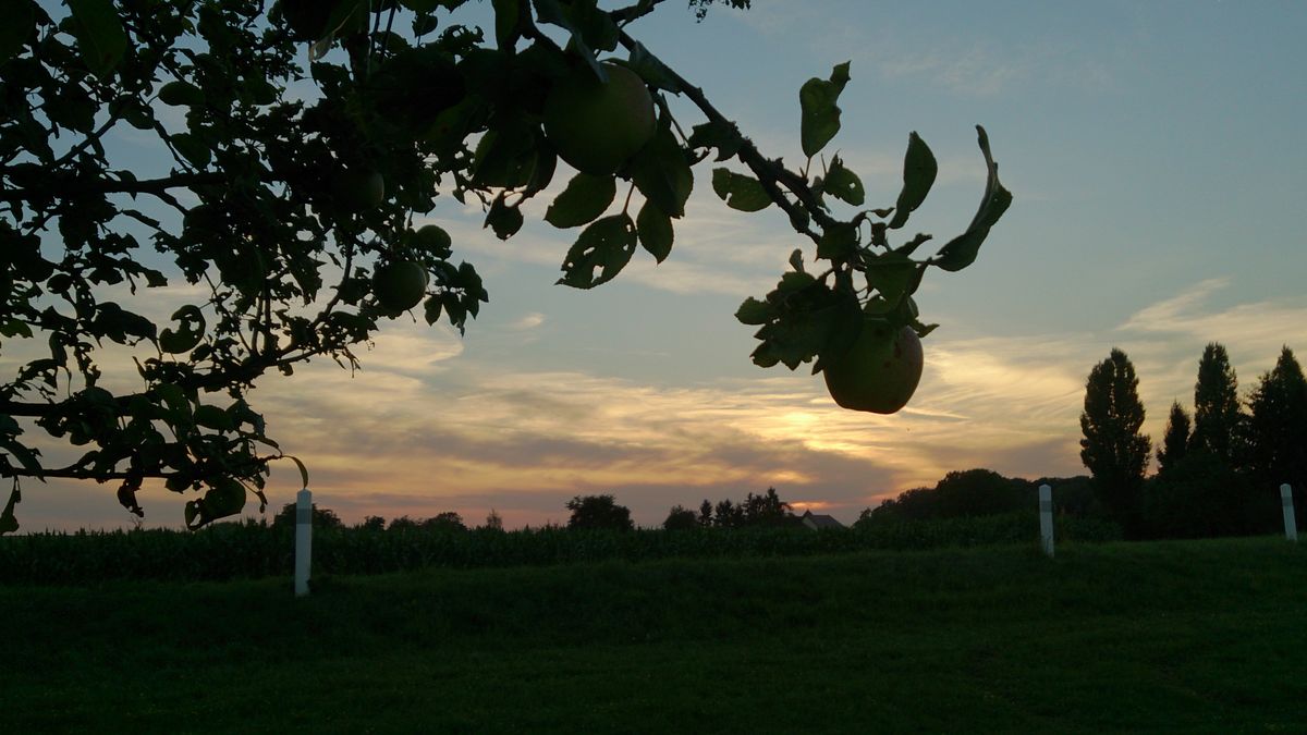 Coucher de soleil dijonnais