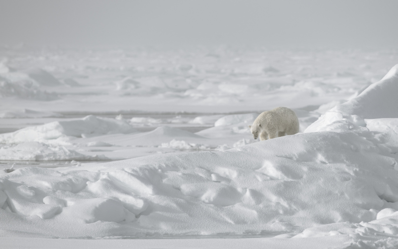 schmid_chrisÔÇôsvalbard-2015-51.jpg