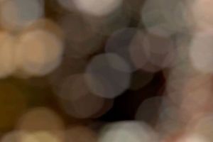 Bokeh with 7-blade aperture_Blog.jpg