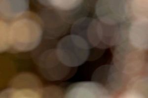 Bokeh with 11-blade aperture_Blog.jpg