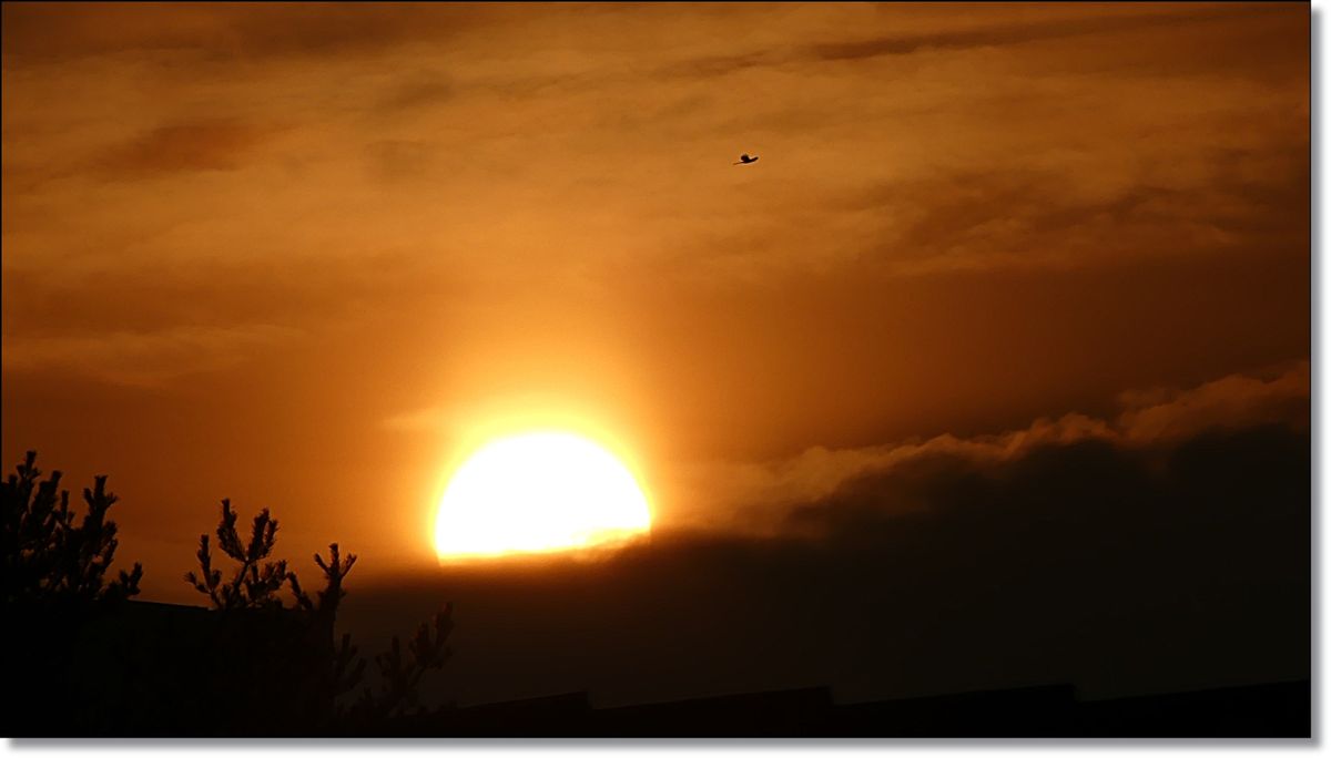 Sonnenuntergang in Berlin.JPG