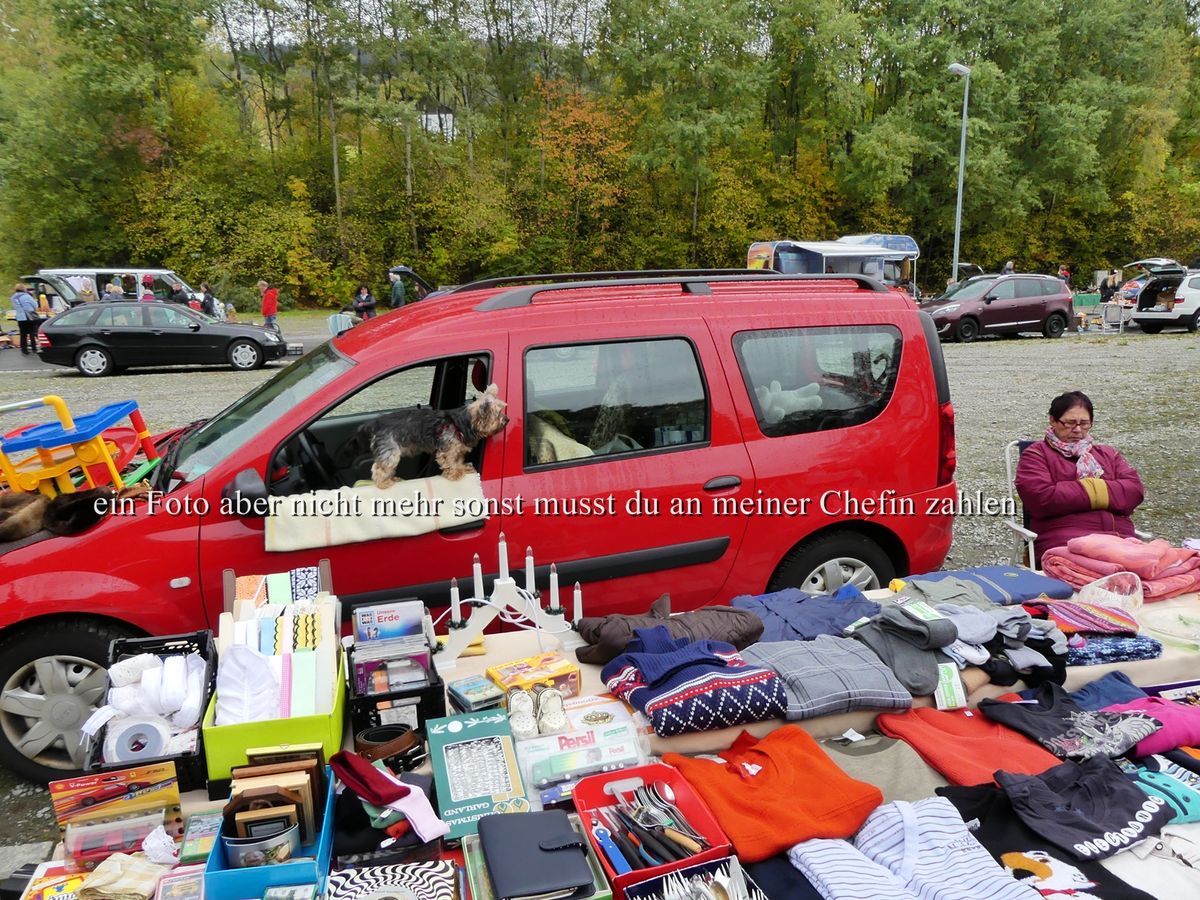 ein Foto aber nicht mehr sonst musst du an meiner Chefin zahlen 2.JPG