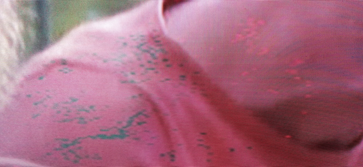 IMG_20180331_190534921.png IMG_20180331_190534921.png