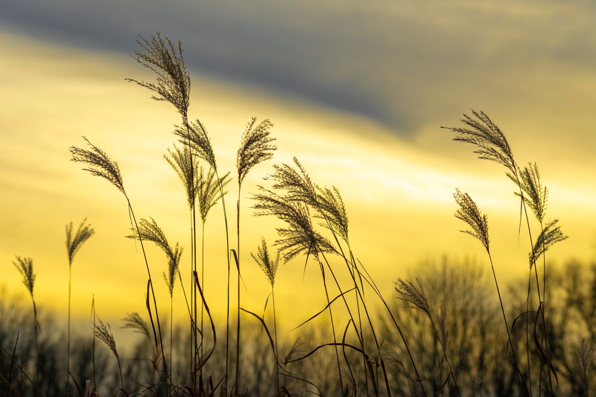 Spätherbstliche Lichtspiele