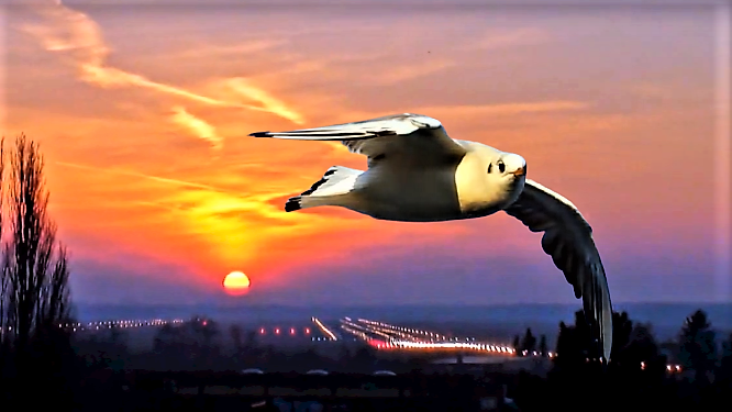 wieder mal gespielt.png