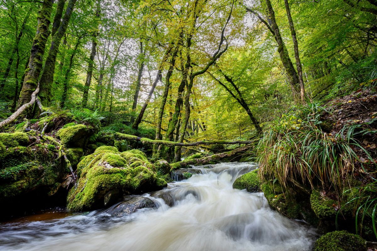 Gorges de la Canche Morvan France