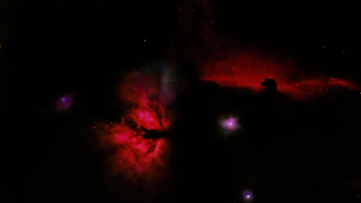 Pferdekopf mit Flamme im Sternbild Orion 165 Minuten belichtet mit 840mm, Sterne wurden mit dem StarXTerminator entfernt!