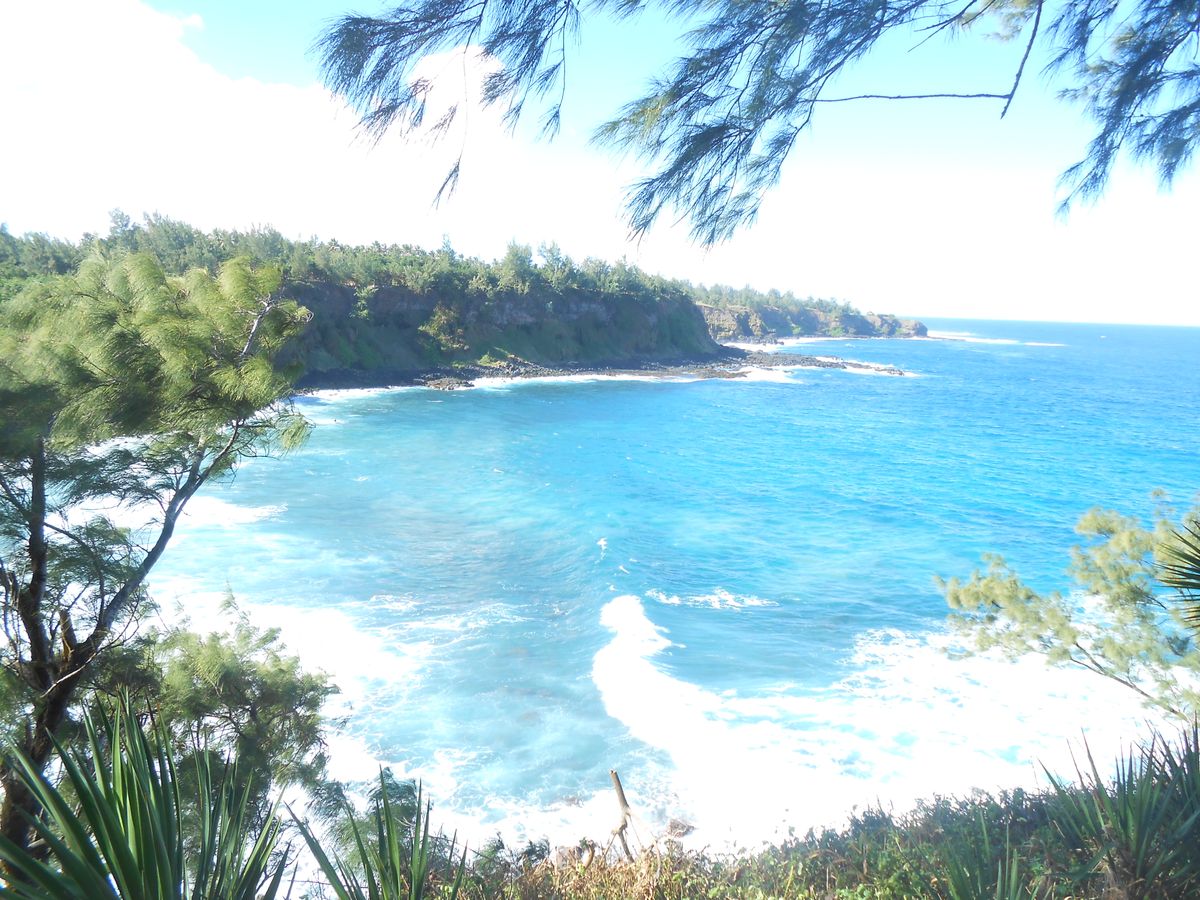 Rivière des anguilles, Mauritius 