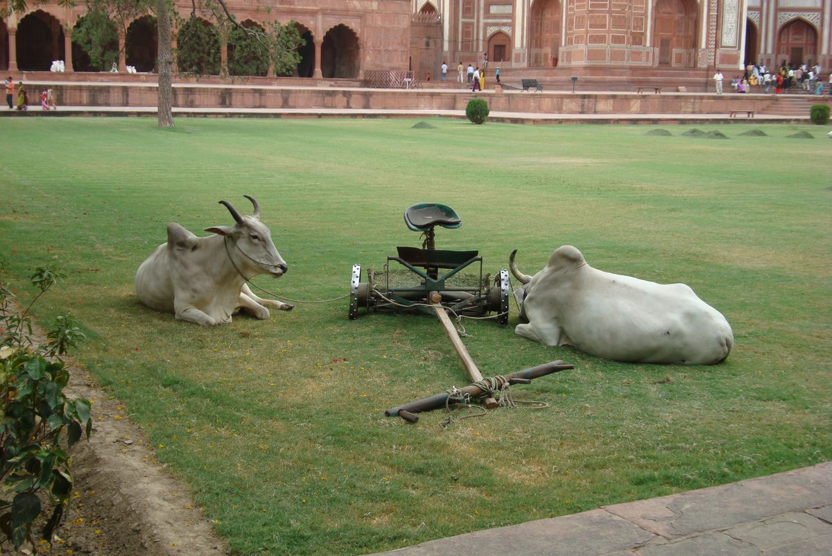 Rest @ Taj Mahal