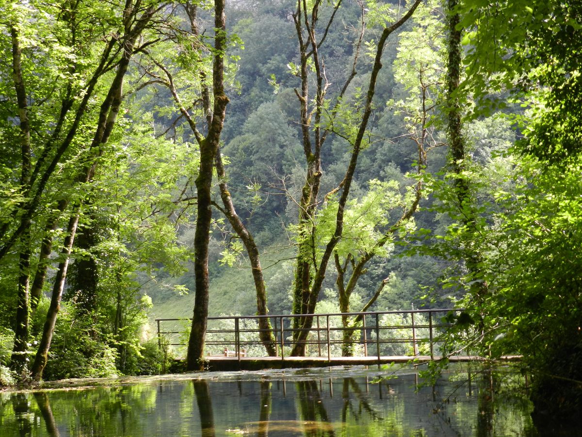 Reflet près de la cascade des tufs à Baume-les-Messieurs