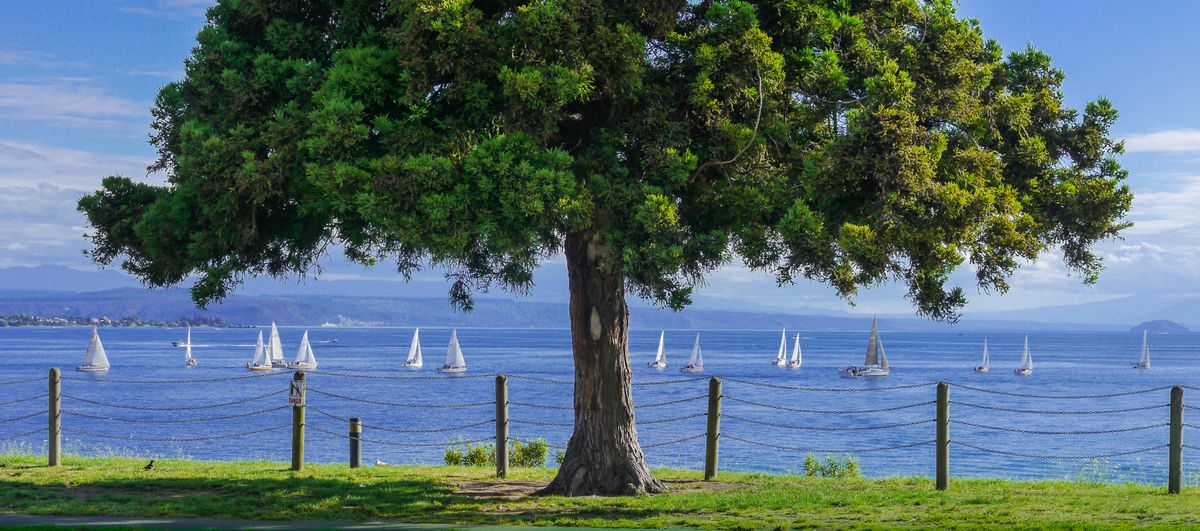 Lake Taupo, New Zealand